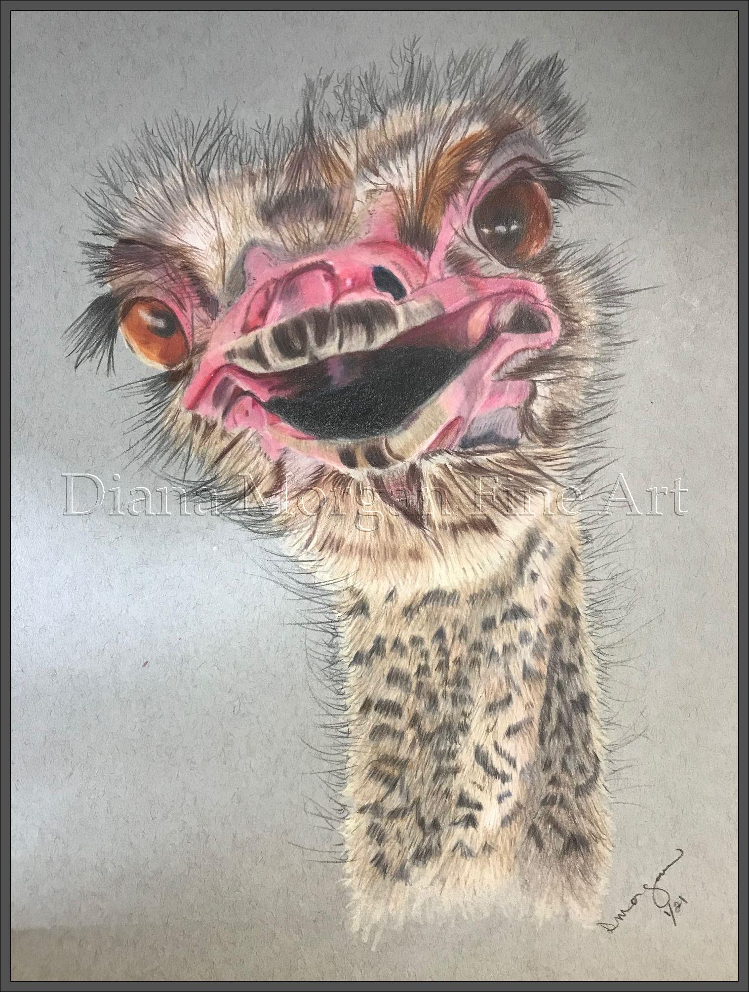 Ostrich II